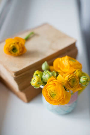 Orange ranunculus in cute small pitcher and stack of vintage books on a windowsillの写真素材