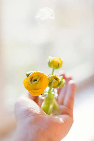 Beautiful orange ranunculus flowers in small vintage bottle in woman's hand. Small bouquet or giftの写真素材