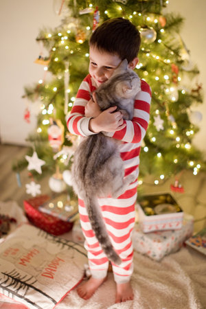Caucasian boy in striped pajamas standing near Christmas tree and holding cute cat. Cozy Christmas interior with decorations and lights.の写真素材