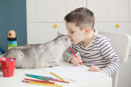 Caucasian toddler boy playing with colorful toy blocks in his room.の写真素材