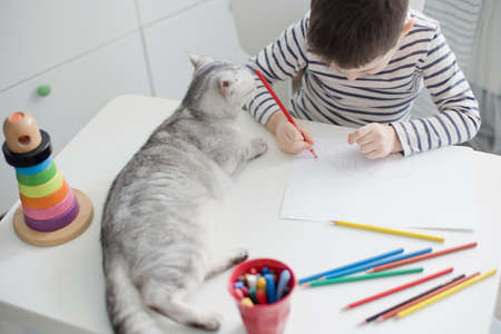 Caucasian toddler boy playing with colorful toy blocks in his room.の写真素材
