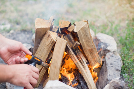 Bonfire with burning logs near lake, summertime. Outdoor fireplace