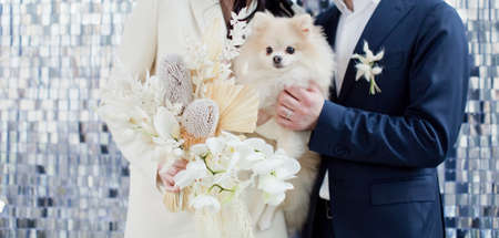 Bride, woman and dog on a wedding day on a silver sequin texture backgroundの写真素材