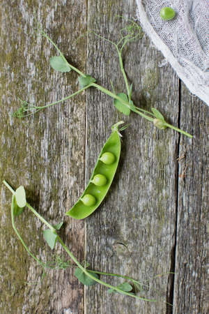 Fresh green peas and micro greens peas on vintage rustic wooden backgroundの写真素材