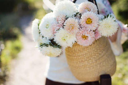 Woman in ukrainian traditional shirt holds bouquet of white and pink chrysanthemums in straw bag. Autumn concept, walk in the field at sunlight with flowersの写真素材