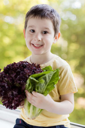Caucasian boy with green romaine lettuce salad, healthy food conceptの写真素材