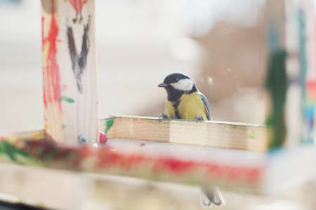 Wooden birds feeder with great tit on a windowsillの写真素材