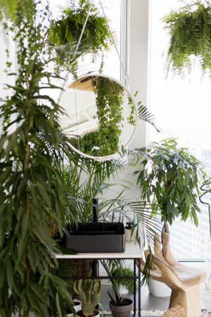 Black vessel sink, mirror and green plants. Urban jungle batroom style interiorの写真素材
