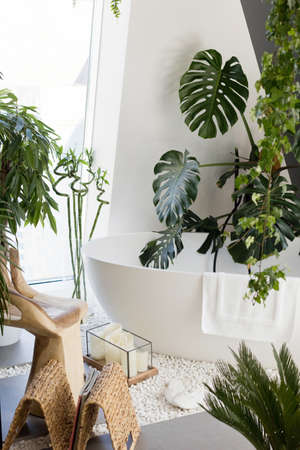 White bathroom with bathtub, green plants, wooden and wicker boho detailsの写真素材