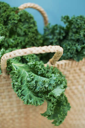 Green curly kale salad in straw eco bag on a blue backgroundの写真素材