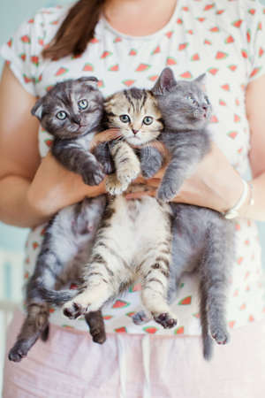 Baby child and ginger cat walking at the park and looking to each otherの写真素材