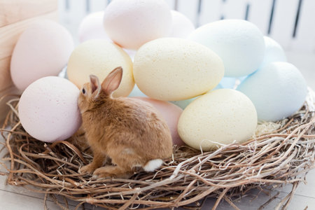 Easter bunny, eggs and flowers on a light kitchen interior