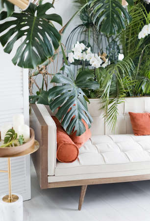 Living room with light color sofa and tropical plants. Stylish interior with big monstera and sofaの写真素材
