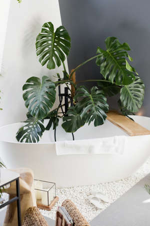 White bathroom with bathtub, green plants, wooden and wicker boho details