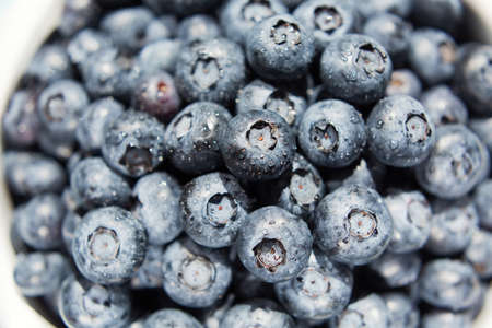 Fresh blueberry background close up. Tasty berry with sun lightsの写真素材