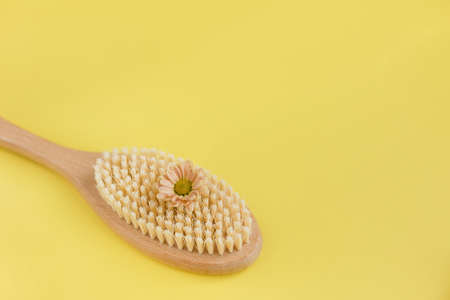 Banner with hair brush, anti-cellulite brush with flower on a yellow background with copy space, place for text. Eco cosmetics products and tools on a yellow background. Zero waste, plastic free. sustainable lifestyle concept.の写真素材