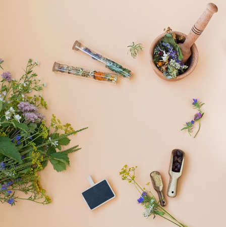 Frame homeopathy and herbal medicine concept. Wildflowers,wooden mortar and pestle and glass bottles with dry herbs on a beige background with copy spaceの写真素材
