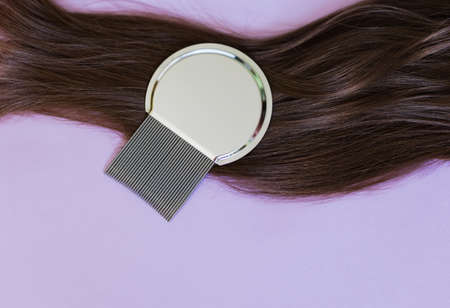 Lice comb and brunette hair on a violet background with copy spaceの写真素材