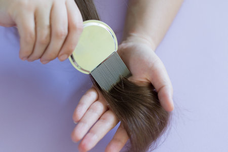 Lice comb and brunette hair on a violet background with copy spaceの写真素材