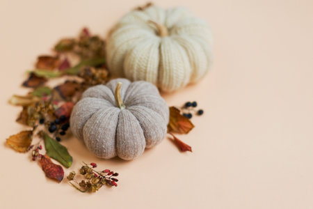 Banner with autumn leaves and knit handmade pumpkin on a beige background with copy space. Fall autumn conceptの写真素材