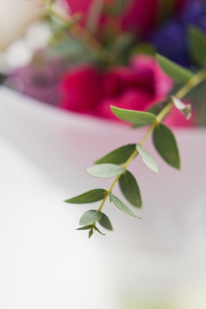 Beautiful bouquet with pink tulips and blue hyacinth on a windowsillの写真素材