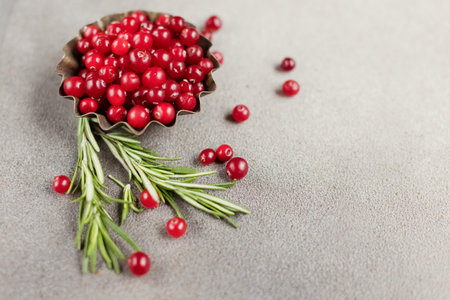 Cranberry in vintage metal bowl and green rosemary branch on a concrete background, copy spaceの写真素材
