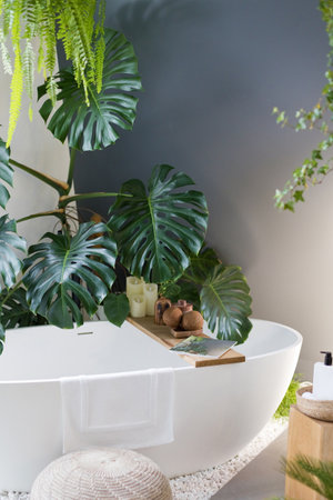 White bathroom with bathtub, green plants, wooden and wicker boho detailsの写真素材