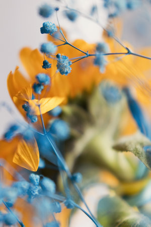 Yellow and blue flowers, symbol of Ukraine. Beautiful ukrainian bouquet, yellow sunflower and blue gypsophila close up. Stop war in Ukraine conceptの写真素材