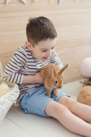 Caucasian boy with cute bunny on a light kitchen interior with Easter decorationsの写真素材