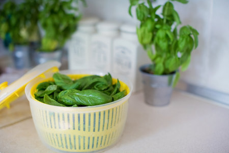 Yellow centrifuge salad dryer with fresh green basil leaves at the light kitchen. Harvest of kitchen herbs, food concept with copy spaceの写真素材