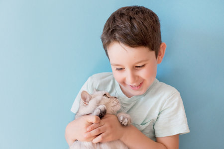 Caucasian boy and grey british cat on a blue background with copy spaceの写真素材
