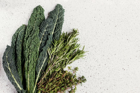 Banner with fresh black kale leaves, rosemary and thyme on a concrete background, copy space. Fresh...