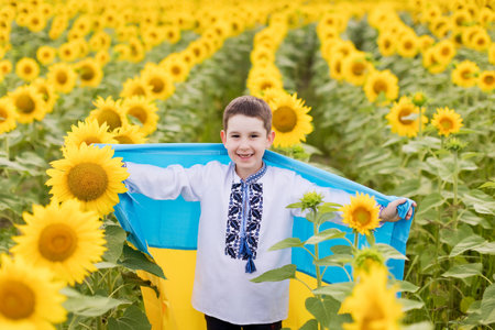 Caucasian boy in traditionat shirt vyshyvanka holding Ukrainian flag at sunflower fieldの写真素材
