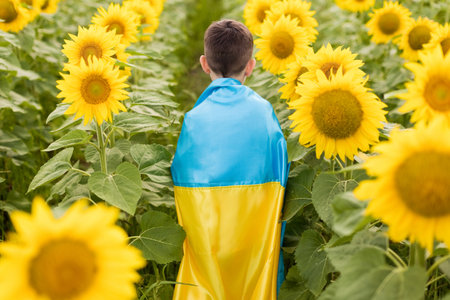 Caucasian boy in traditionat shirt vyshyvanka holding Ukrainian flag at sunflower fieldの写真素材