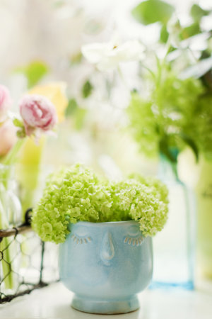 Beautiful flowers in vintage vases and glass bottles