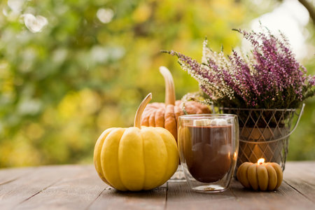Hot chocolate in glass cup, pumpkins, burning candle and heather in pot on a wooden tableの写真素材