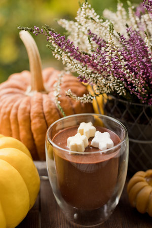 Hot chocolate in glass cup, pumpkins, burning candle and heather in pot on a wooden tableの写真素材