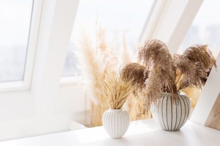 Dry grass in vases, bohemian home decorationの写真素材