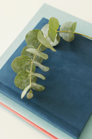 Books in a bright fabric cover and eucalyptus twigの写真素材