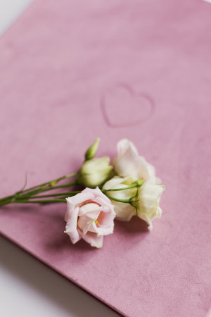 Book in a pink fabric cover with heart shaped embossingの写真素材