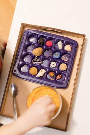 Sensory tray with various objects for sorting and explorationの写真素材