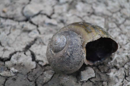 Rainlessの写真素材