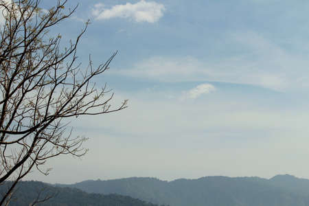 sky view