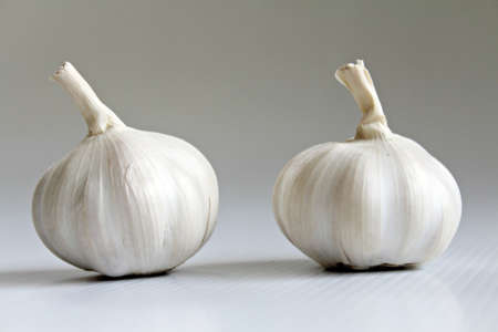 Garlic Headの写真素材