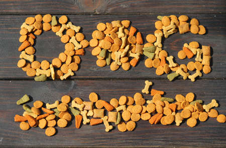 Food dog backgroundの写真素材