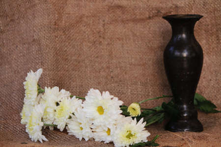 white flower in vaseの写真素材