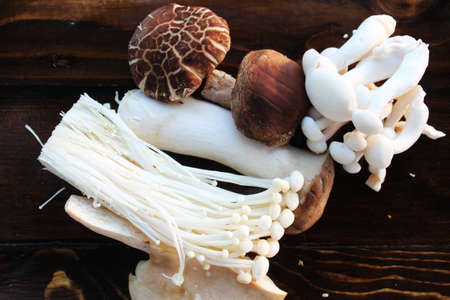Shiitake Mushroom  Backgroundsの写真素材