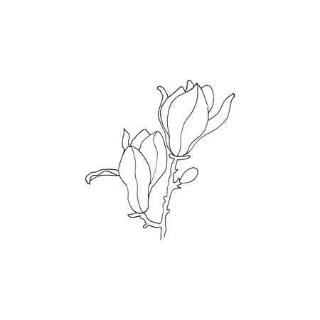 Simple and clean hand drawn floral. Sketch style botanical illustration. Great for invitation, greeting card, packages, wrapping, etc.のイラスト素材