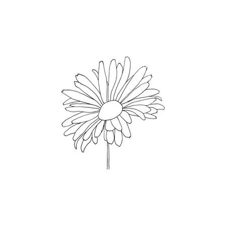 Simple and clean hand drawn floral. Sketch style botanical illustration. Great for invitation, greeting card, packages, wrapping, etc.のイラスト素材