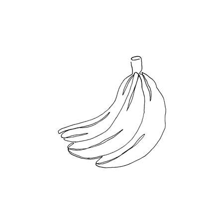 Simple continous line art. Minimalist vector illustration. Great for invitation, greeting card, packages, wrapping, premade logo, business card, stationery, etc.のイラスト素材